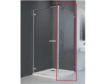 Боковая стенка Radaway Arta S1 100 386022-03-01, хром